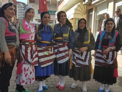 ŞALPAZARI - Yerel Defile