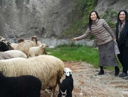 Atsuko Suetomi - Ala Türkmen