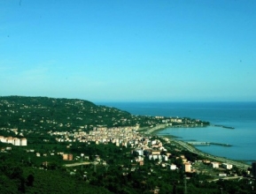 UTEF2020 │ BEŞİKDÜZÜ │ GAZETE FESTİVALİ    