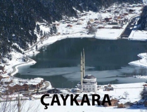 Nesir │ Gürcü Edebiyatı │              Otia İoseliani