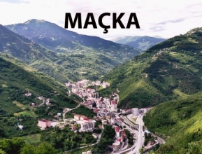 ARAŞTIRMA VE İNCELEME FESTİVALİ